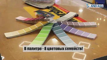 КОЛЕРОВОЧНЫЙ ВЕЕР DULUX