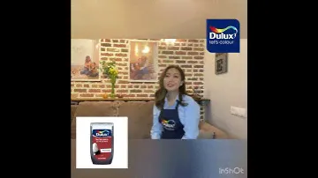 Тестер цвета «Dulux»-инструмент для выбора цвета стен