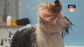 Линейка моющихся красок – Dulux Ultra Resist для ванной