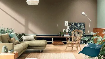 Dulux Color of the Year 2021 Combinations