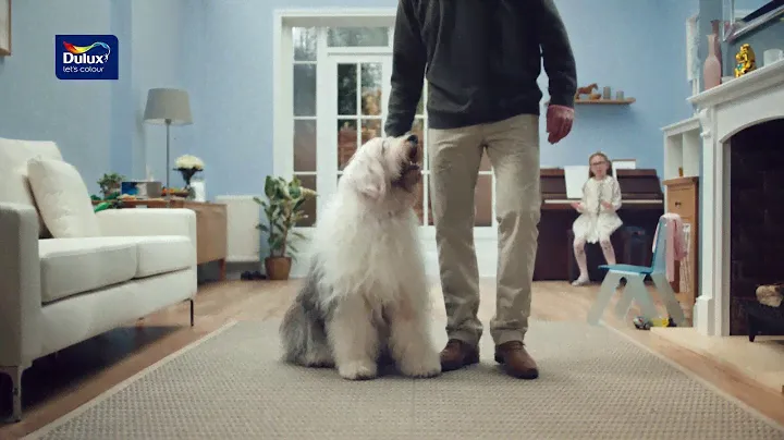 Dulux TESTER Novinka na trhu